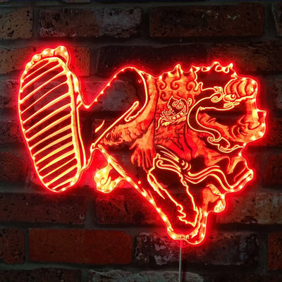 One Piece Anime RGB LED Sign