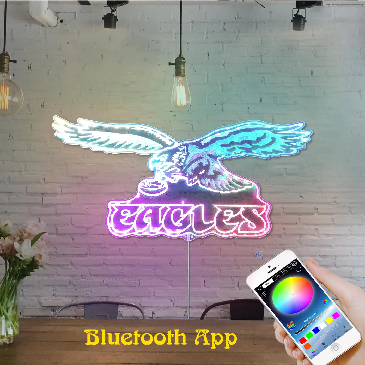 Fly Eagles Fly RGB LED Sign