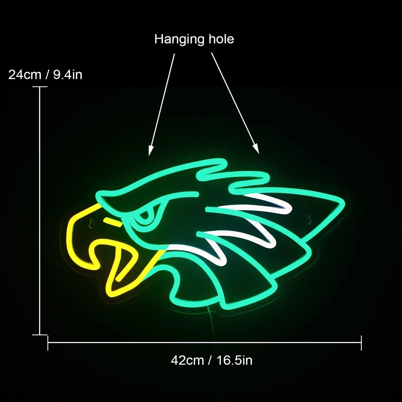 Philadelphia Eagles Go Birds Neon Sign