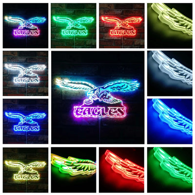 Fly Eagles Fly RGB LED Sign